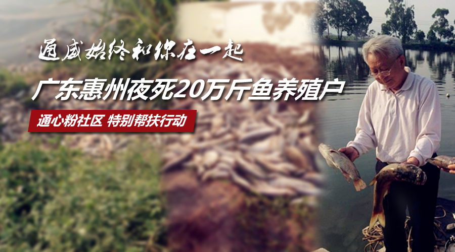 发布惠州20万斤鱼死权威真相泛亚电竞app下载！要警惕悲剧的重演